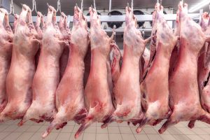 Abatorizare si refrigerare carne INTERFRIG GROUP